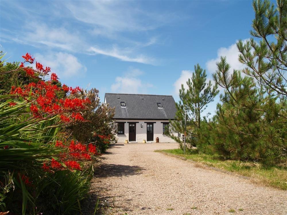 Cockshead Cottage Saint Dogmaels 外观 照片